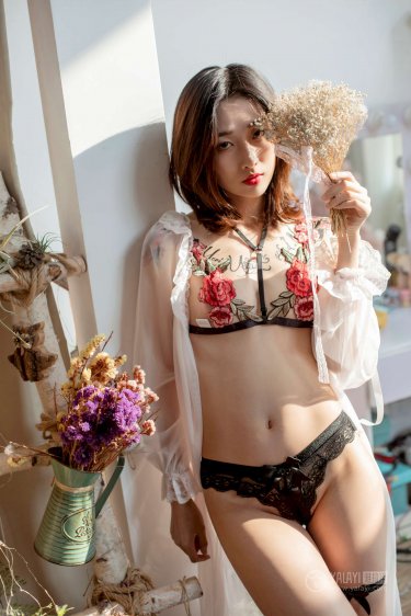 梅花红桃电视剧